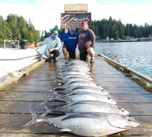 BC Albacore Tuna Fishing Boat Full of Tuna