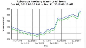 Robertson Creek Upper River